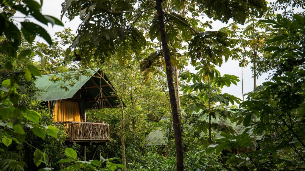 La Tigra Rainforest Lodge