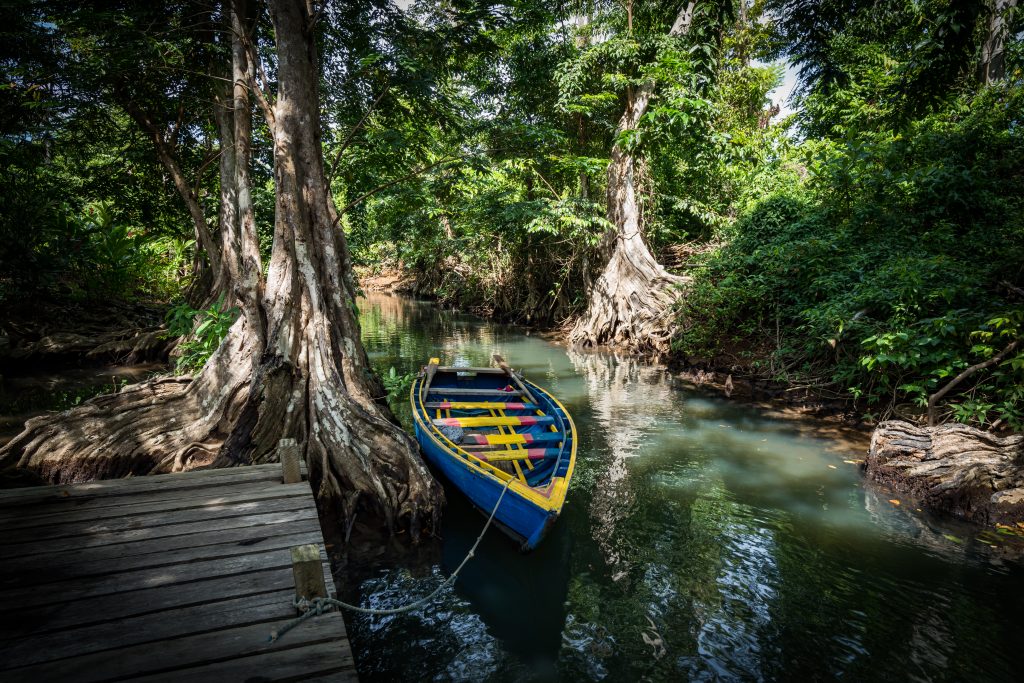 Indian River Dominica