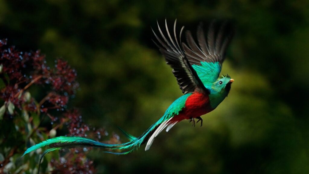 Costa Rica für Entdecker 3 AdobeStock 134579615 scaled e1649324339670