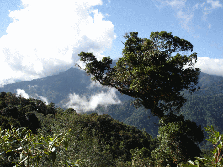 Costa Rica - Naturparks & Vulkane 10 Natur mit Komfort 1