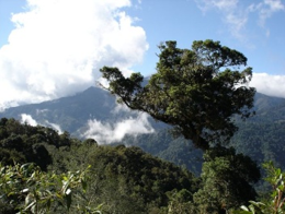 Costa Rica für Entdecker 11 CR Entdecker 10