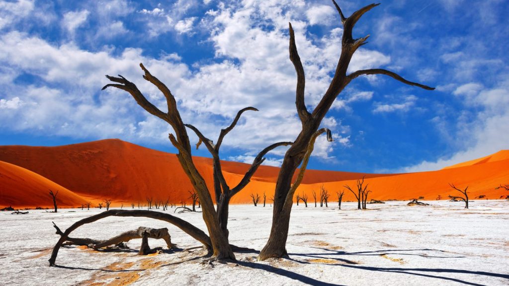 Deadvlei Düne