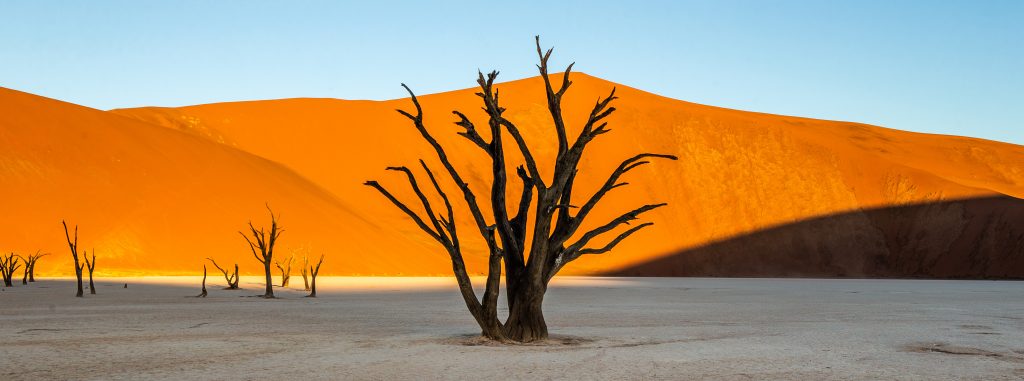 Toter Acacia-Baum Sossusvlei