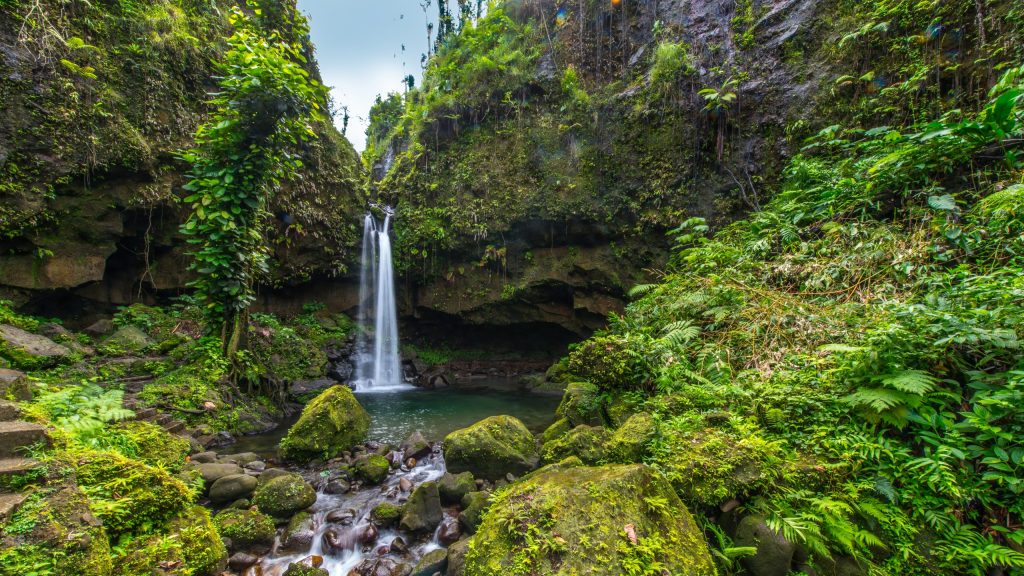 Emeralds Pool Dominica