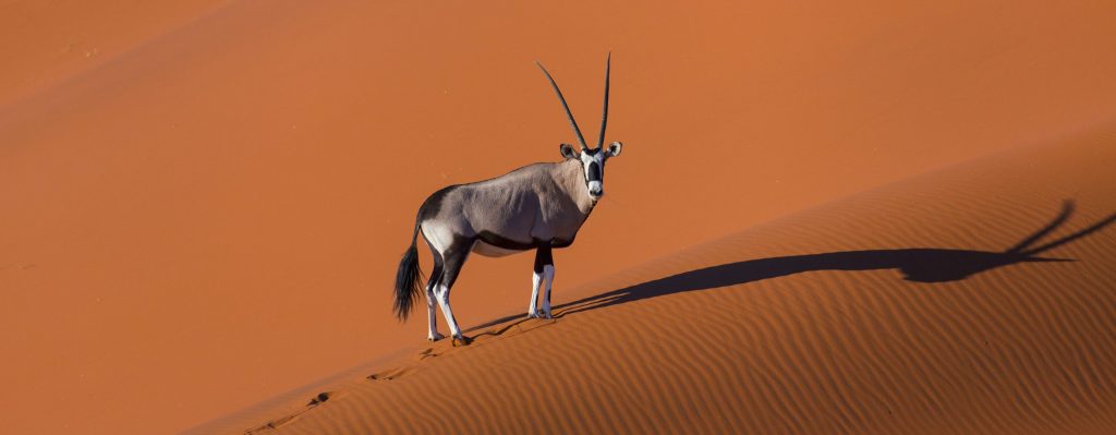 Namibia