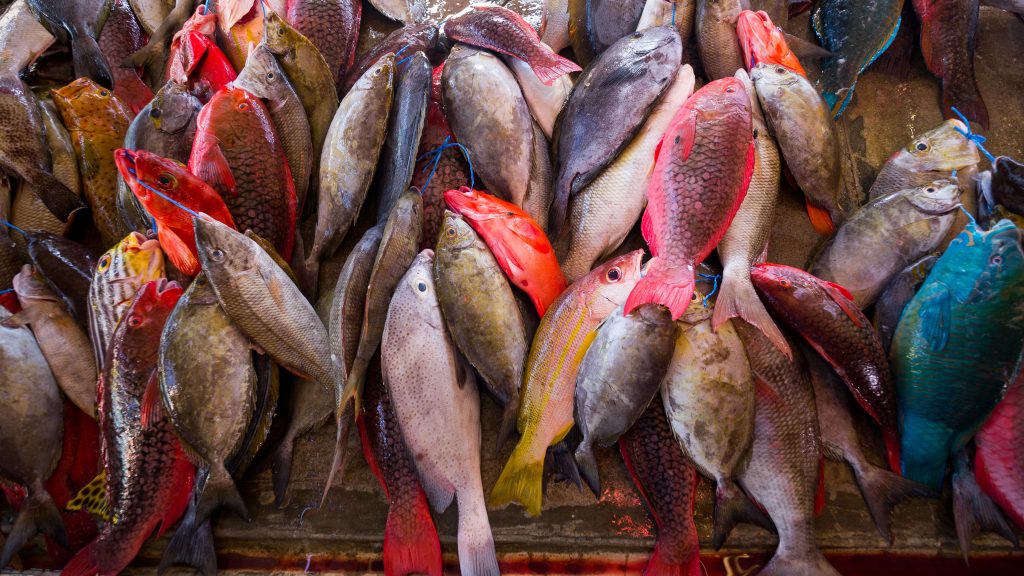 Fischmarkt, Seychelles