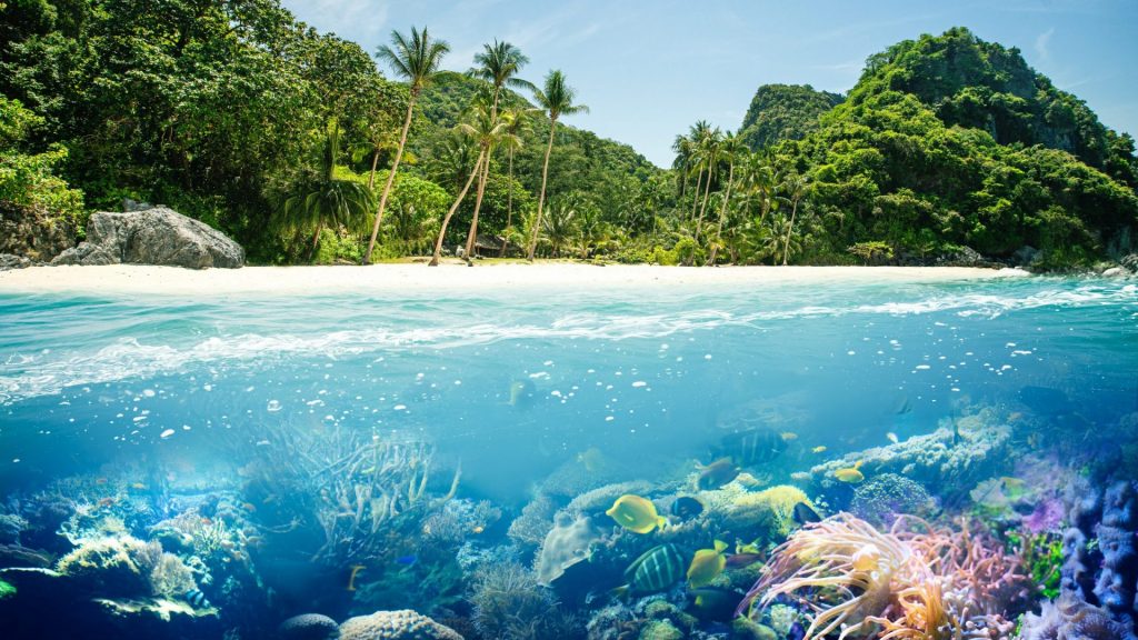 Korallen Riff mit paradiesischen Strand