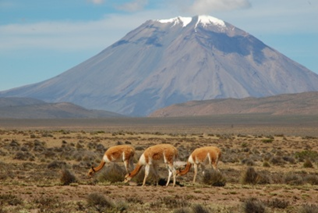 Peru für Entdecker 6 image 3