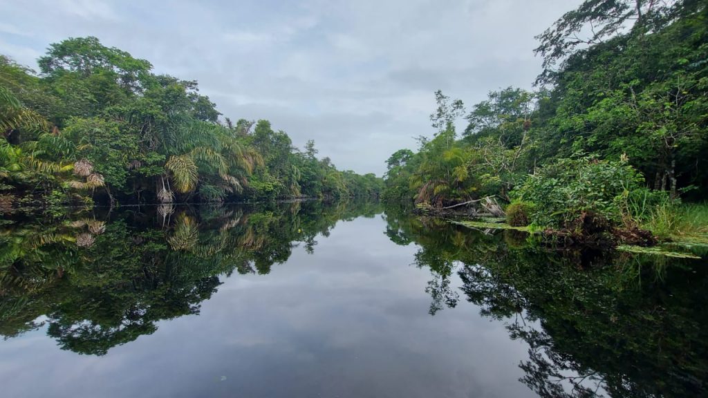 Lapa Verde Lodge