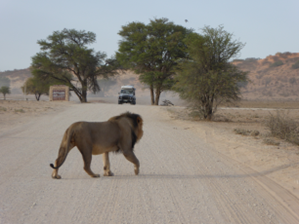 Südafrika & Namibia - Vom Kap der Guten Hoffnung zum Etosha-Park 11 image 25