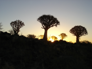 Südafrika & Namibia - Vom Kap der Guten Hoffnung zum Etosha-Park 12 image 26