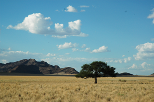Südafrika & Namibia - Vom Kap der Guten Hoffnung zum Etosha-Park 14 image 28