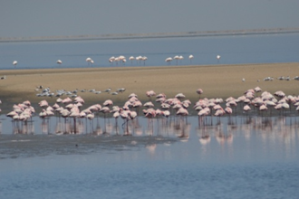 Südafrika & Namibia - Vom Kap der Guten Hoffnung zum Etosha-Park 17 image 31